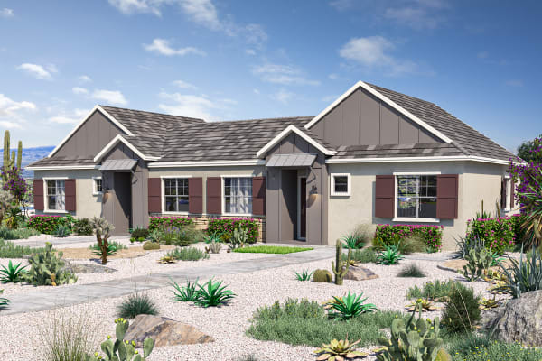 Village of Chandler property